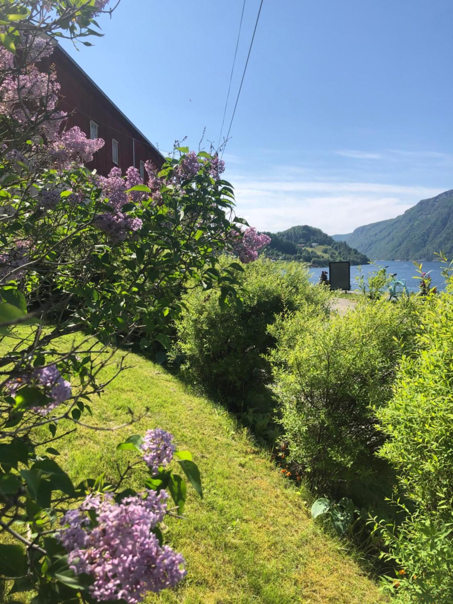 Gronset Skysstasjon Bed & Breakfast Vinjeora Luaran gambar