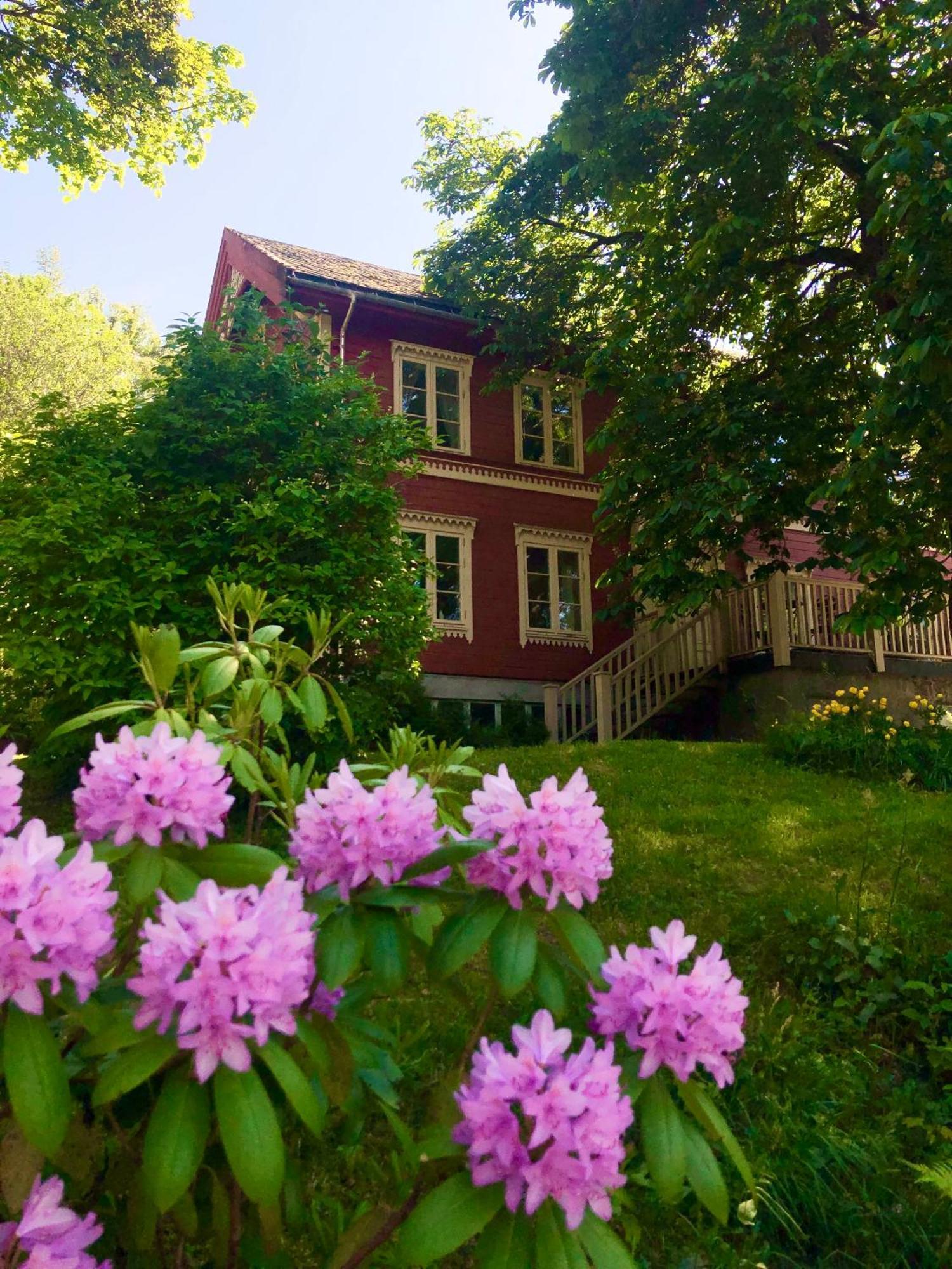Gronset Skysstasjon Bed & Breakfast Vinjeora Luaran gambar